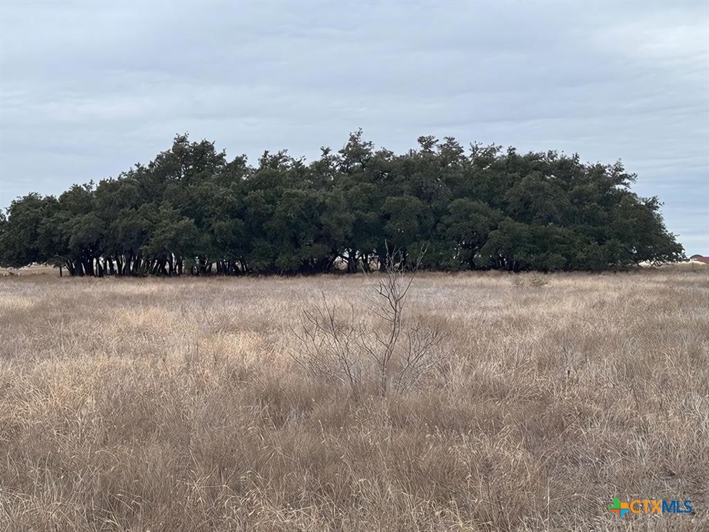 TBD1 County Road 221