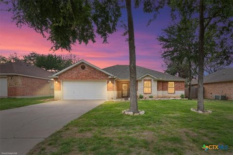Photo of 356 Nolan Ridge Drive, Nolanville, TX 76559 (MLS # 611944)