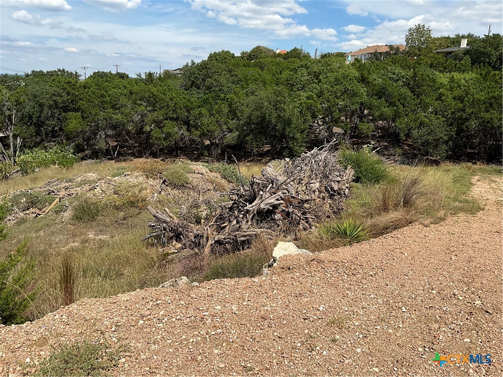 20904 Tomahawk Street