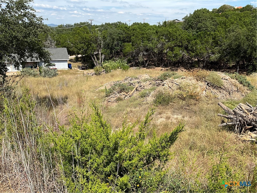 20904 Tomahawk Street