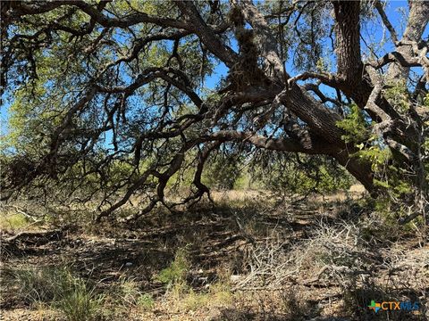 Photo of 1717 Axis Circle, Fredericksburg, TX 78624 (MLS # 608708)