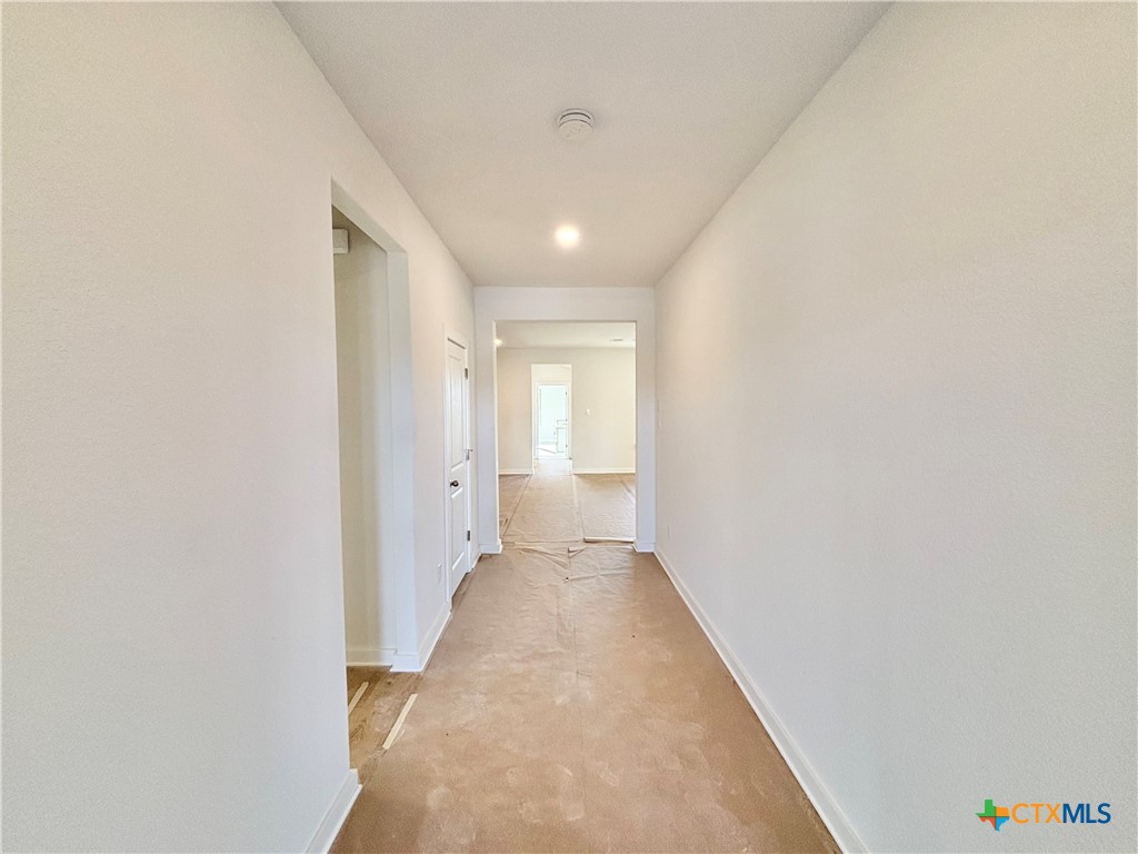 510 Salamander Street