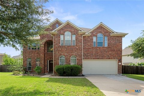 Photo of 707 House Wren Loop, Pflugerville, TX 78660 (MLS # 613799)