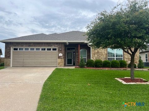 Photo of 6138 Fair Hill Drive, Temple, TX 76502 (MLS # 612868)