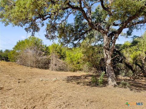 Photo of 817 Rutherford, Fischer, TX 78623 (MLS # 595113)