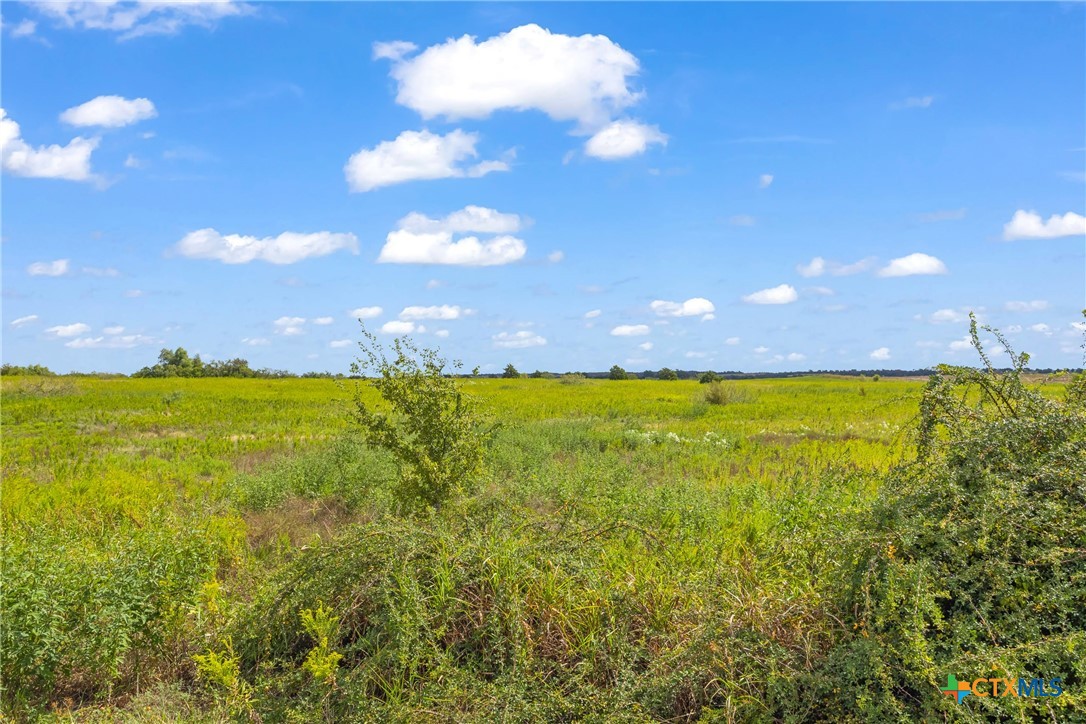 TBD County Road 455