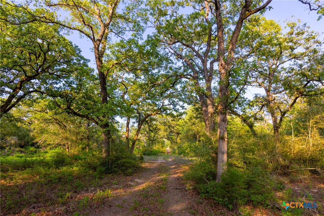 TBD S. Hwy 77