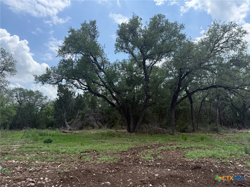 TBD Lot 13 Silverleaf Ridge