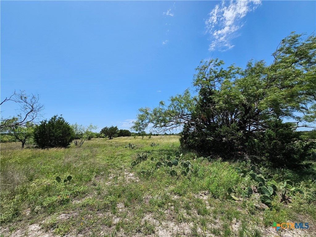 Lot 111 Shin Oak Drive