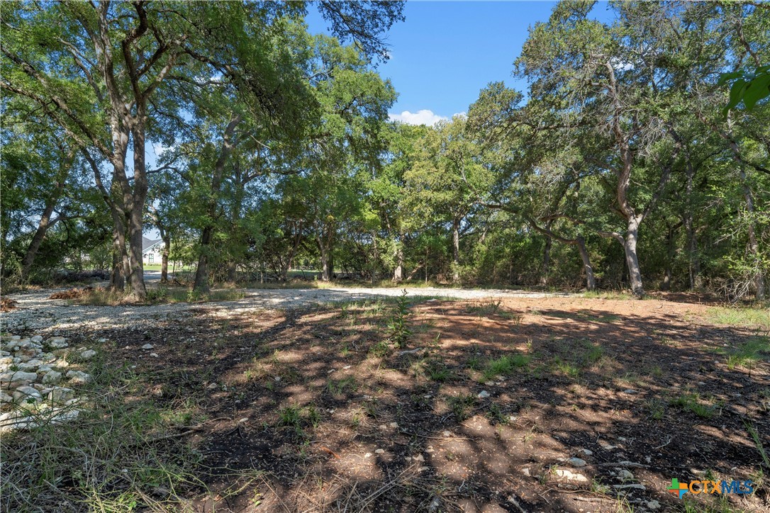 165 Cedar Mountain Road