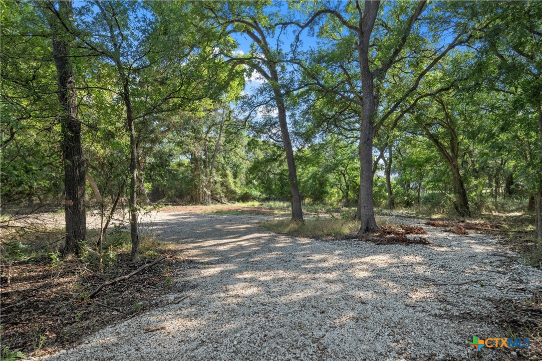 165 Cedar Mountain Road