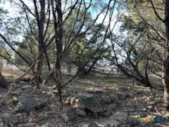 1218 E Creekview Drive