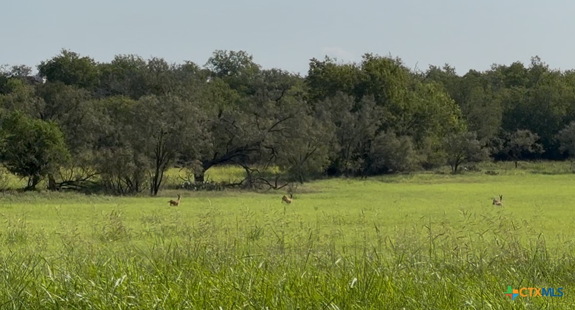 3927 County Road 3210