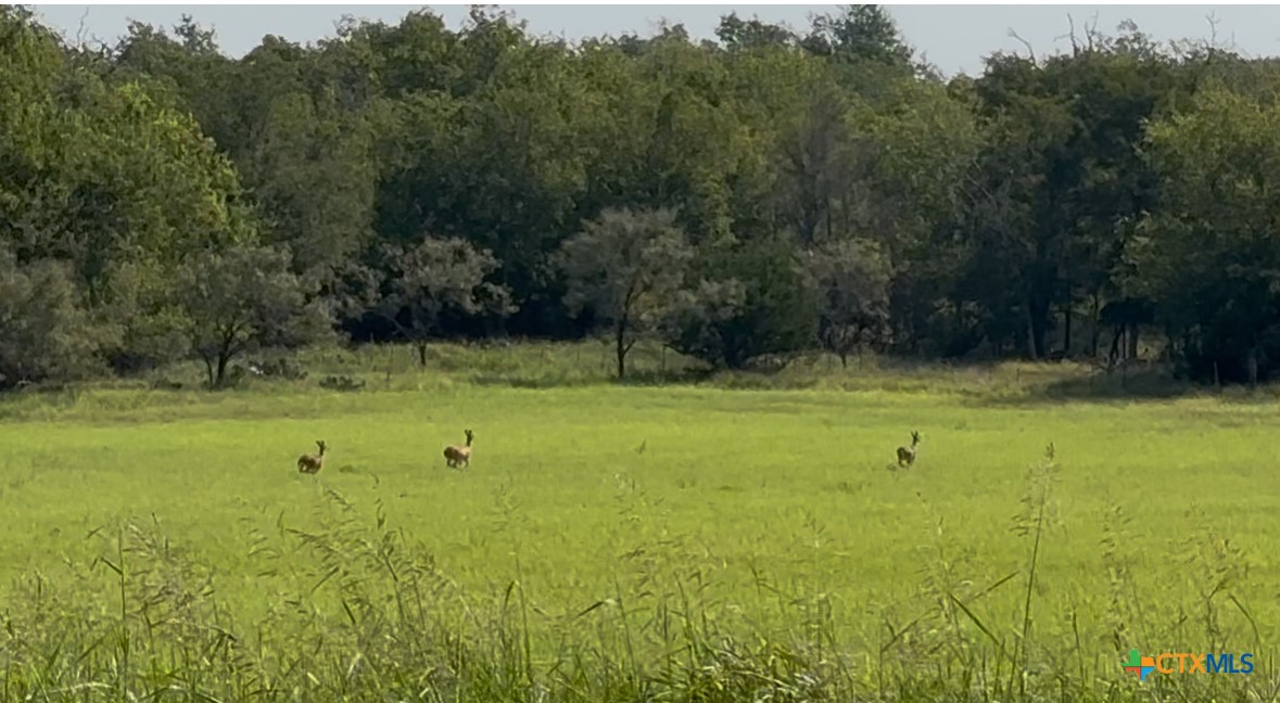 3927 County Road 3210