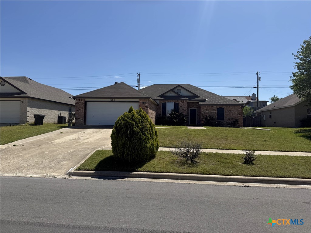 1603 Prestige Loop