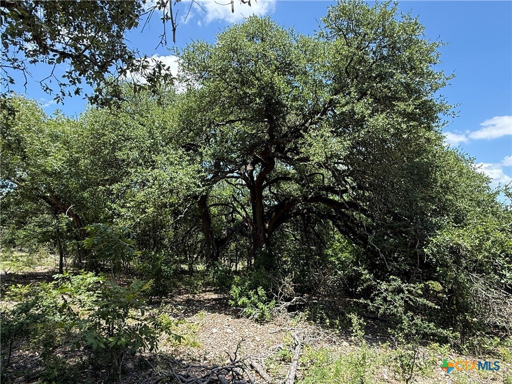 1219 Gannon Trail