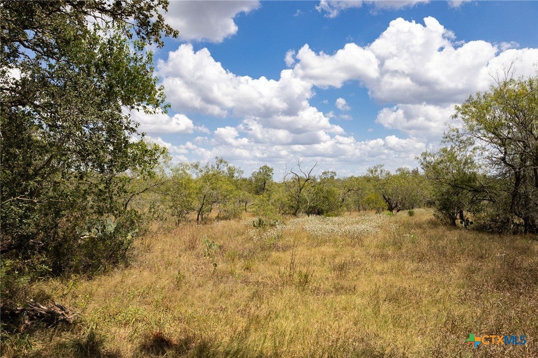 Photo 1 of 12 — 211 Halm Road, Seguin, TX 78155