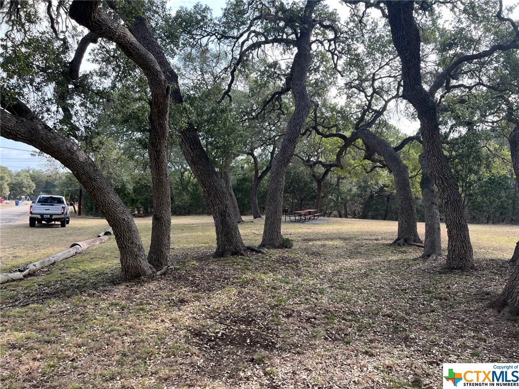 Canyon Lake, Texas 78133, United States, ,Land,Active,71175