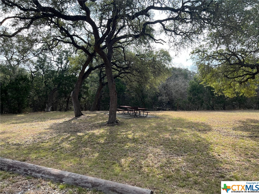 Canyon Lake, Texas 78133, United States, ,Land,Active,71175