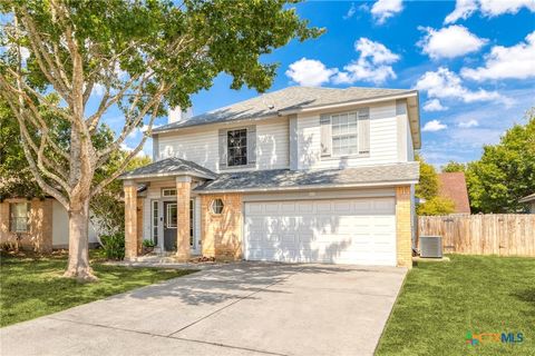 221 Sunshadow Drive Lockhart TX 78644