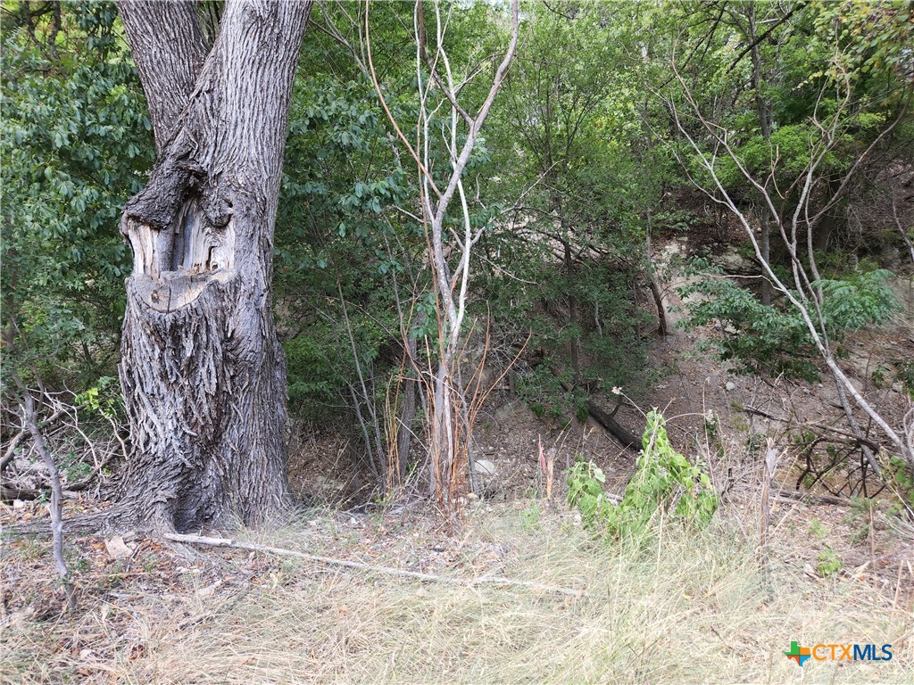 6716-6720 Valley Drive