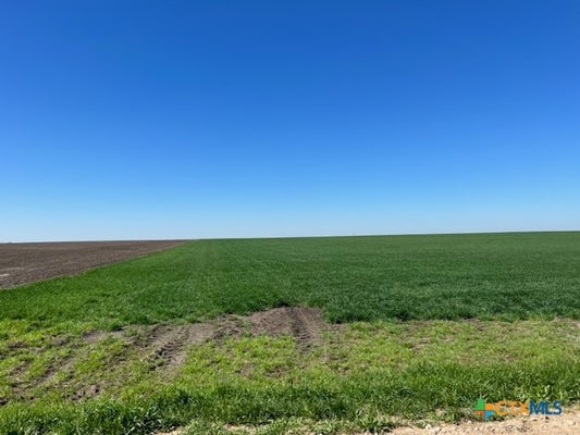 AIRVILLE RD, TEMPLE, TX 76501 - Image 72a283d015d65dd3166237f2b032f0b0/2173400573