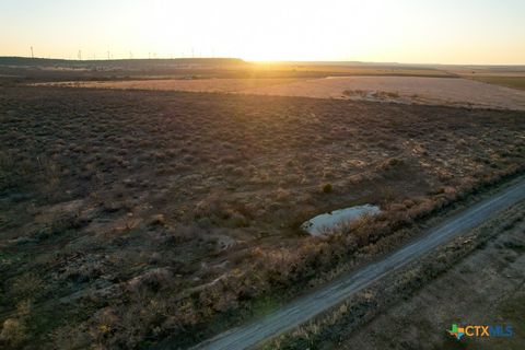 120 CR 306 Brady TX 76852