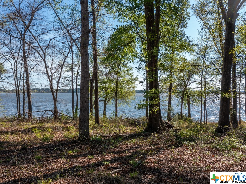 Photo 1 of 17 — 3108 Shadow Pine Drive, LaRue, Other, TX 75770