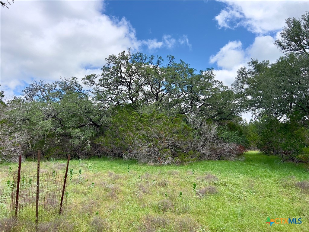 TBD Lot 43A Narrows Road 1