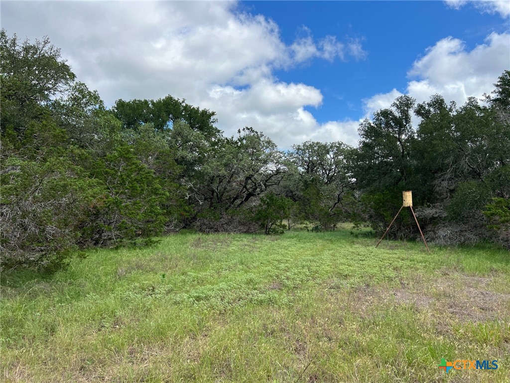 TBD Lot 43A Narrows Road 1