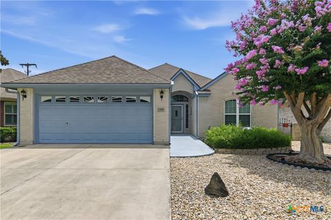 Photo of 1559 Golden Sage Drive, Seguin, TX 78155 (MLS # 617770)