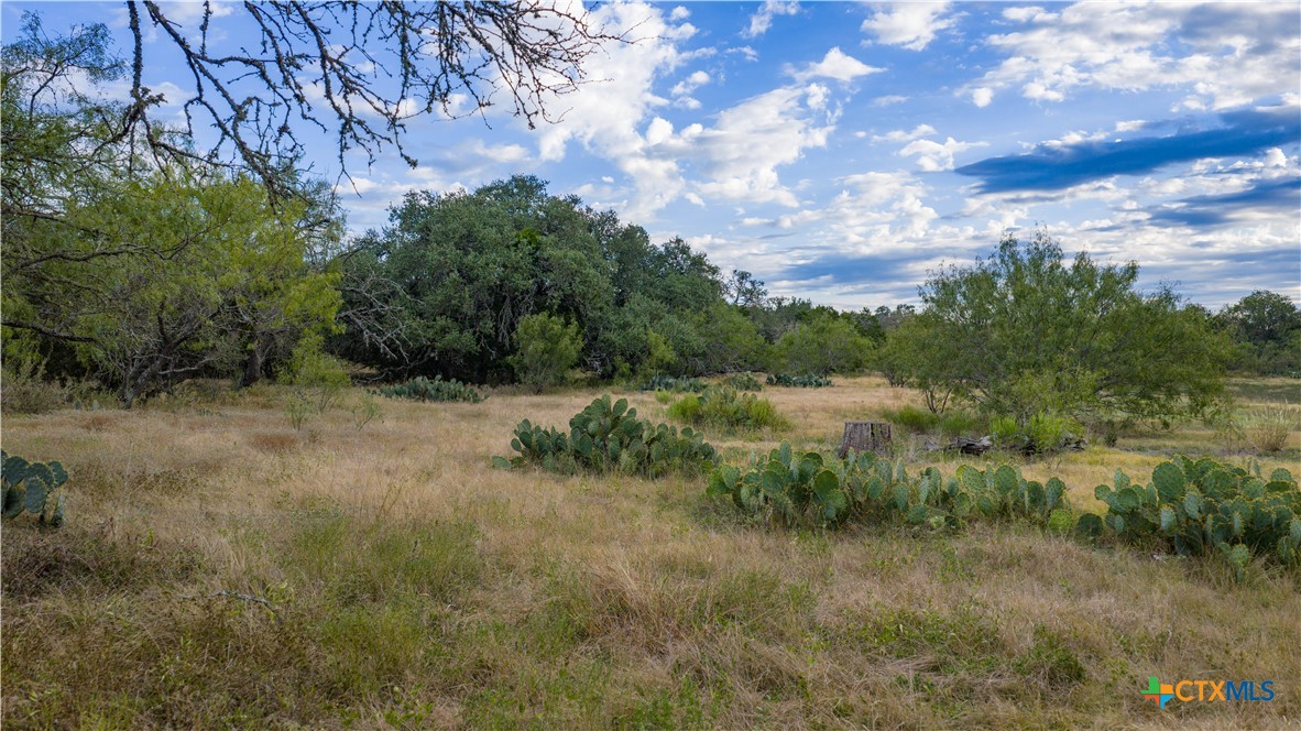 28084 Delafield Drive