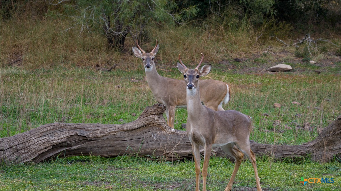 28084 Delafield Drive