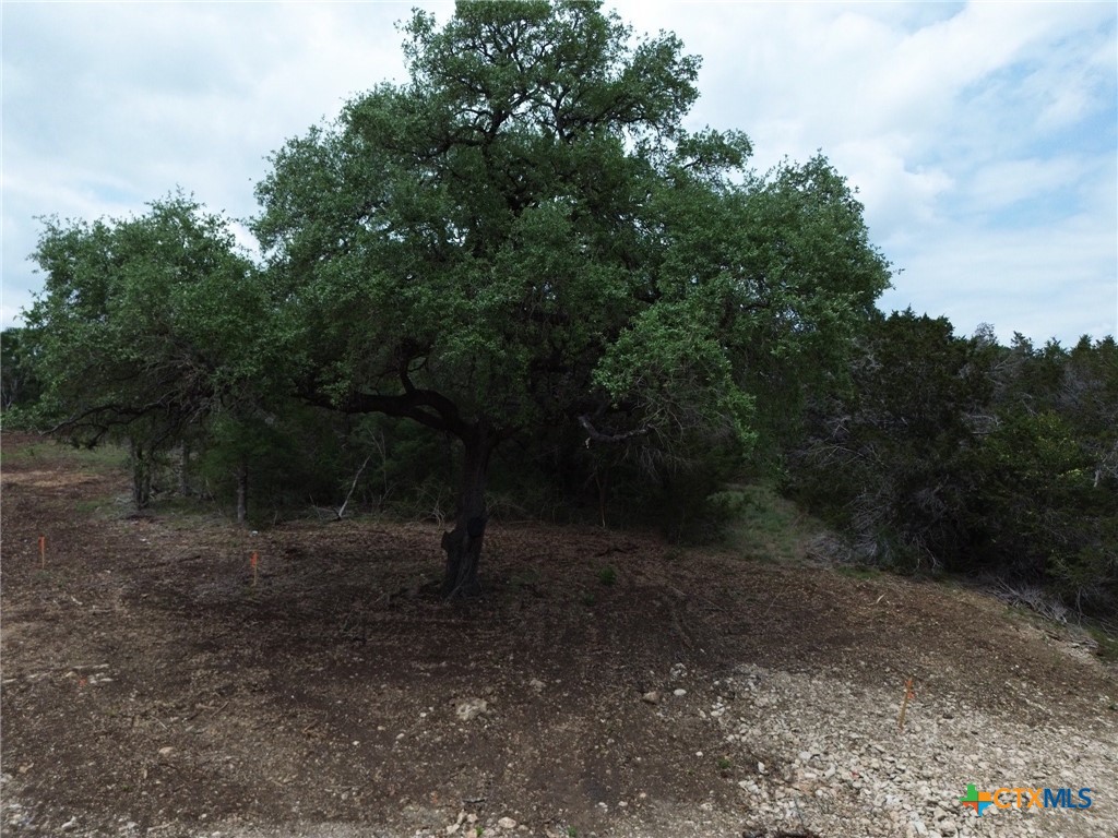 TBD Lot 29 Ironwood Ridge