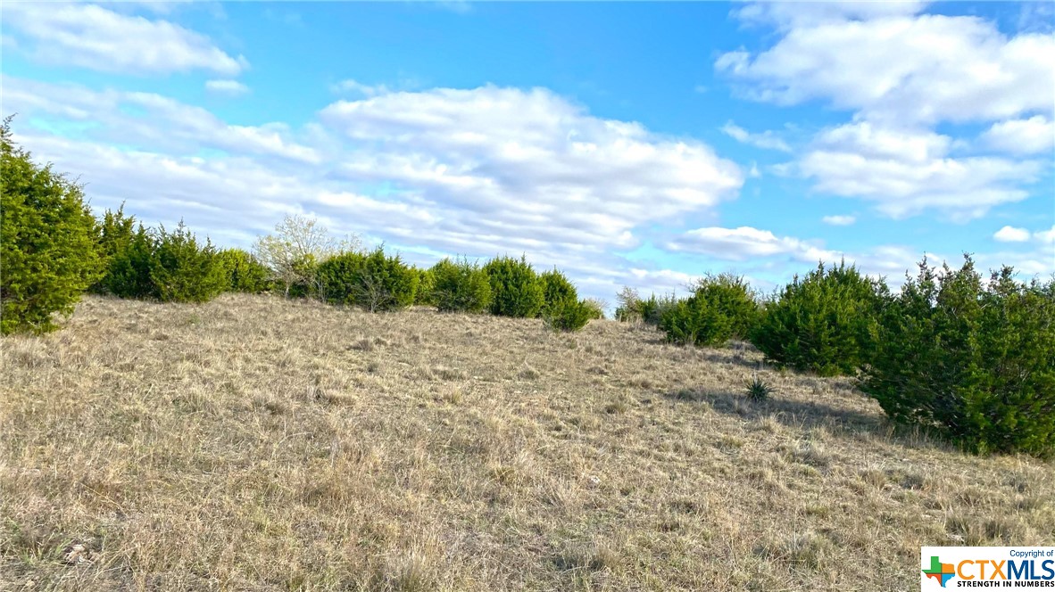 123 Acres on Twin Mountain