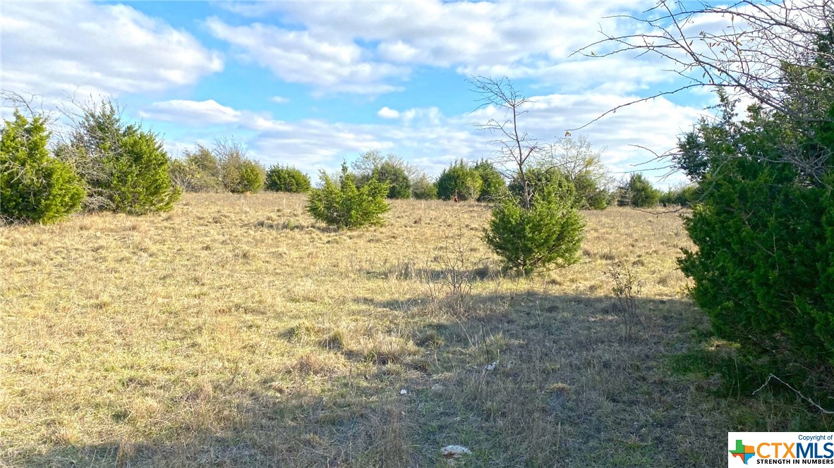 123 Acres on Twin Mountain
