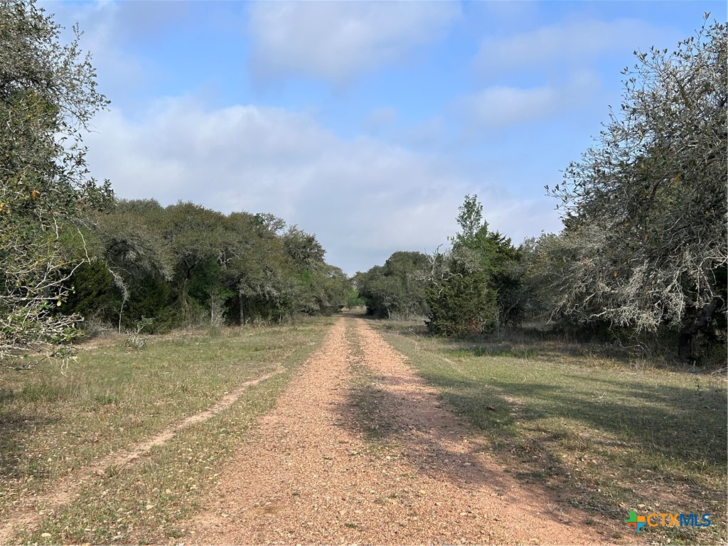 1022 County Road 438