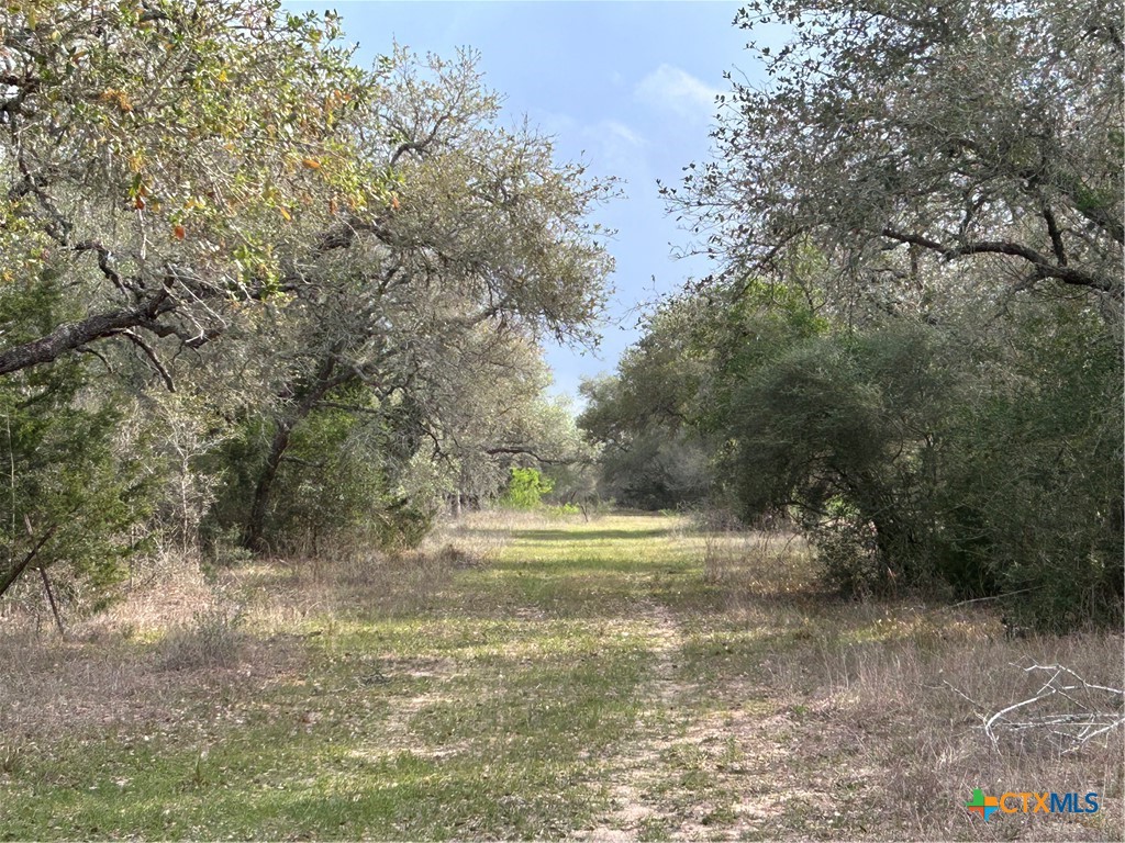 1022 County Road 438