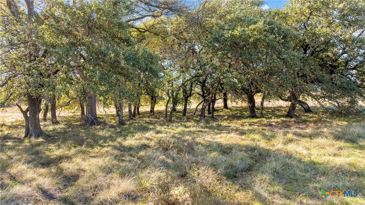 350 Yellowstone Drive