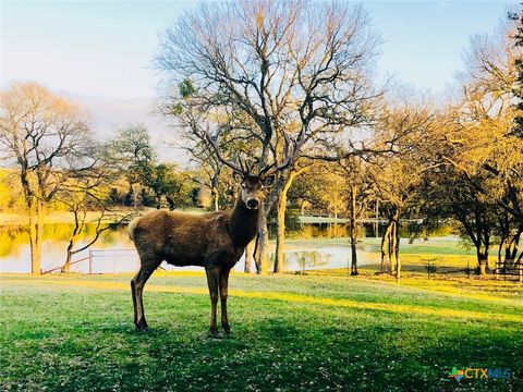 6101 County Road 208 Lampasas TX 76550