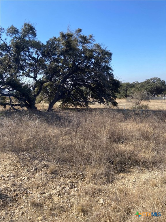 713 Fossil Springs Drive