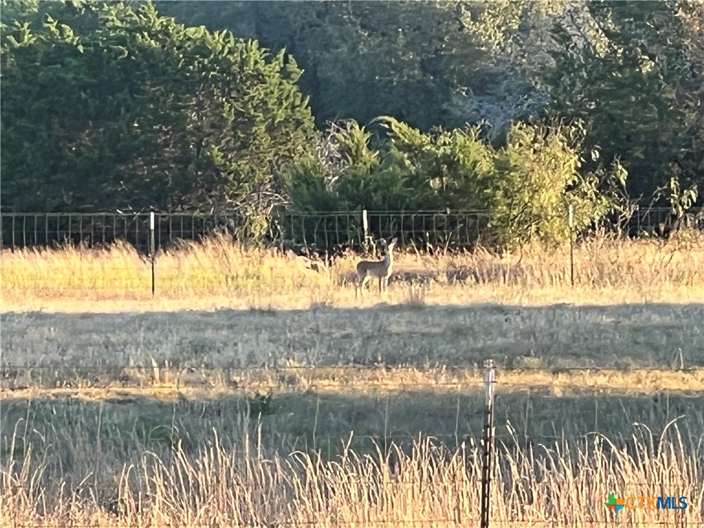 765 & 743 County Road 3371