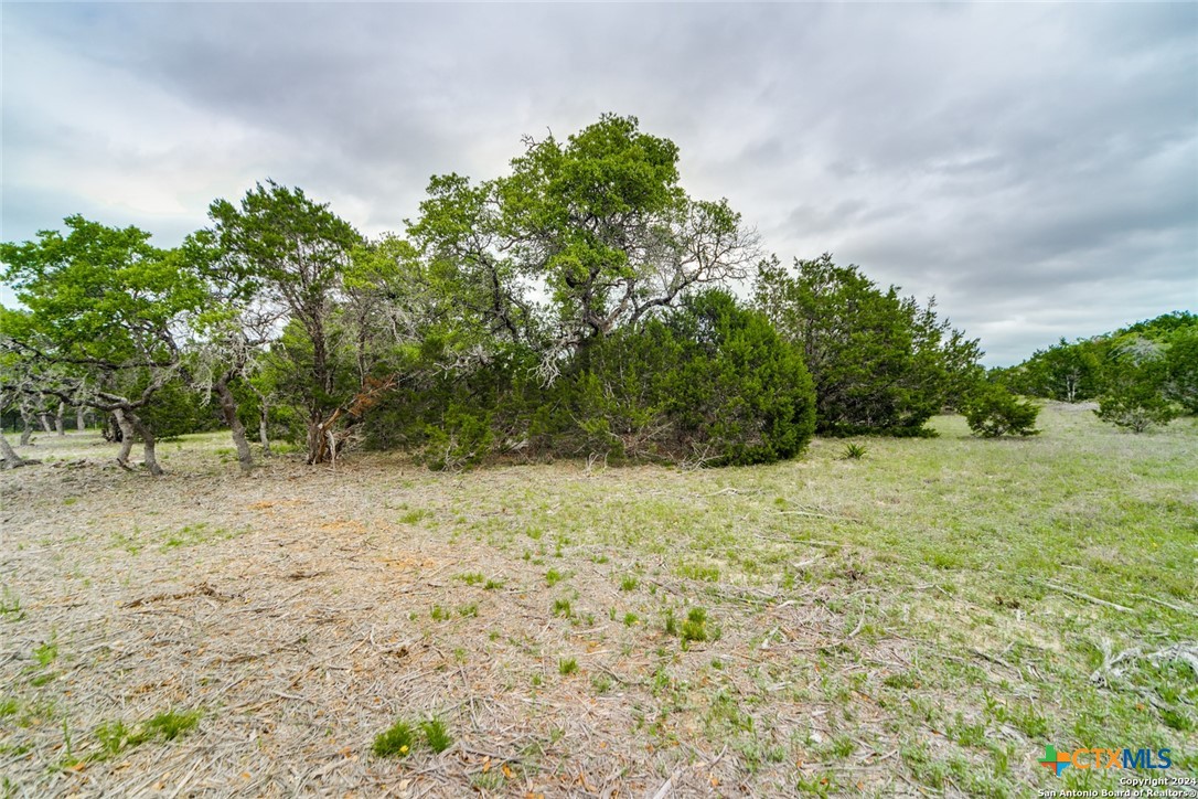 980 Scarlett Ridge Drive