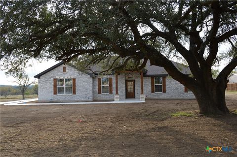 Photo of 425 County Road 3152, Kempner, TX 76539 (MLS # 599771)