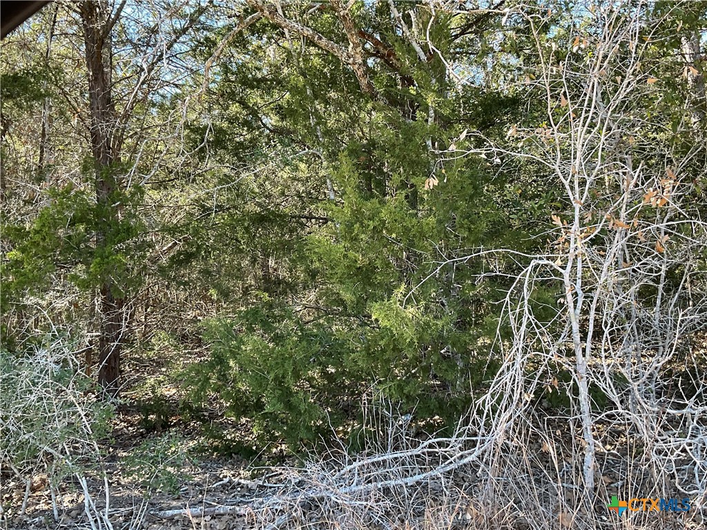 50 Acres County Road 212