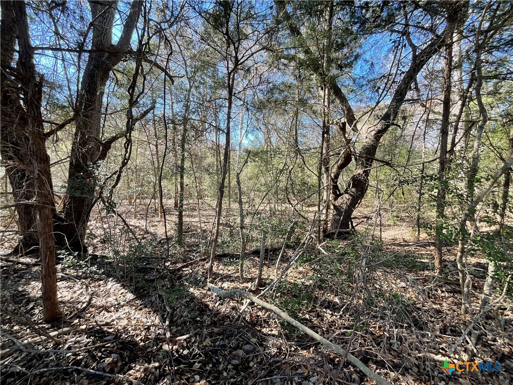 50 Acres County Road 212