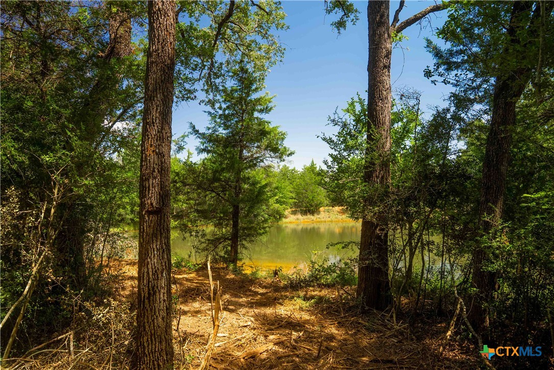 5131 N State Highway