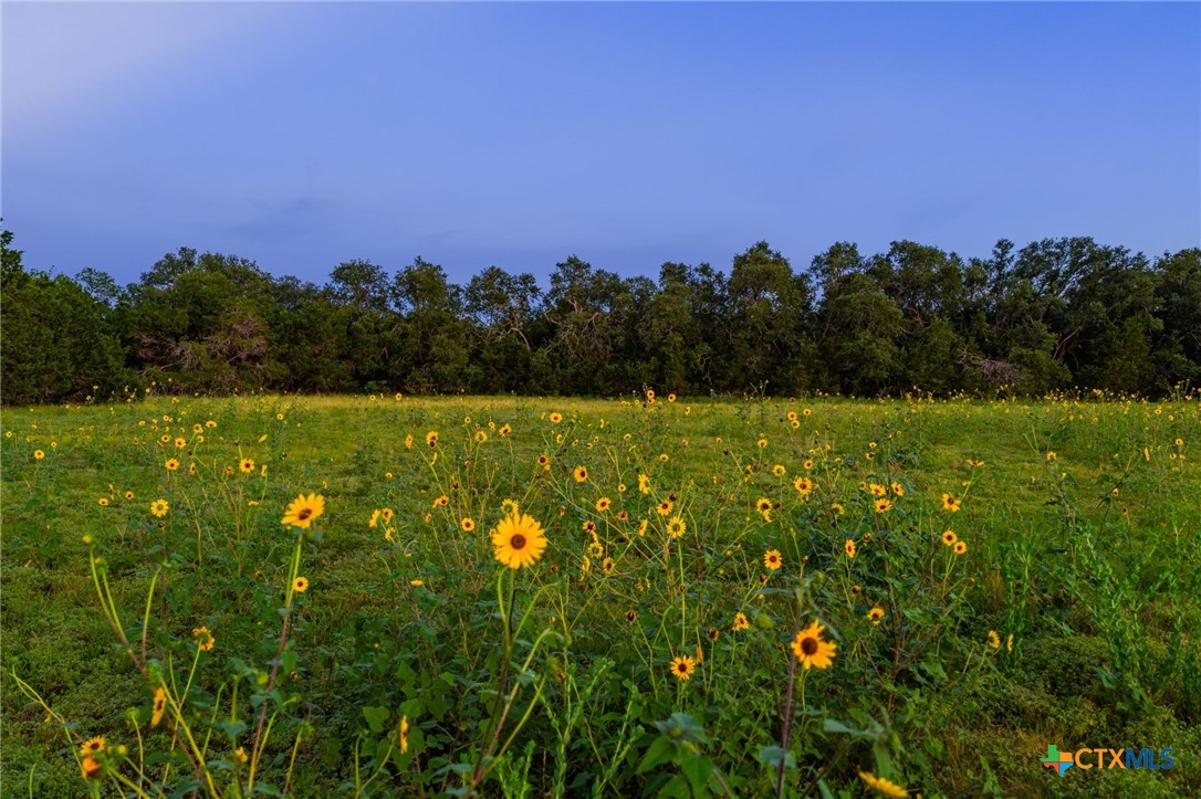 00 County Road 284
