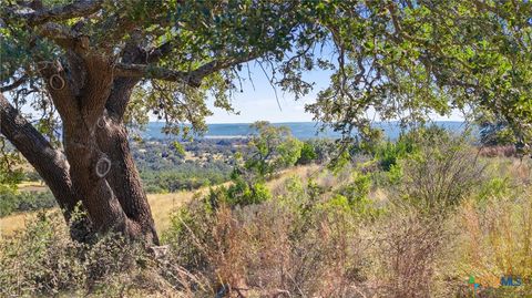 Photo of 1484 Summit Ridge Trail, Johnson City, TX 78636 (MLS # 594867)