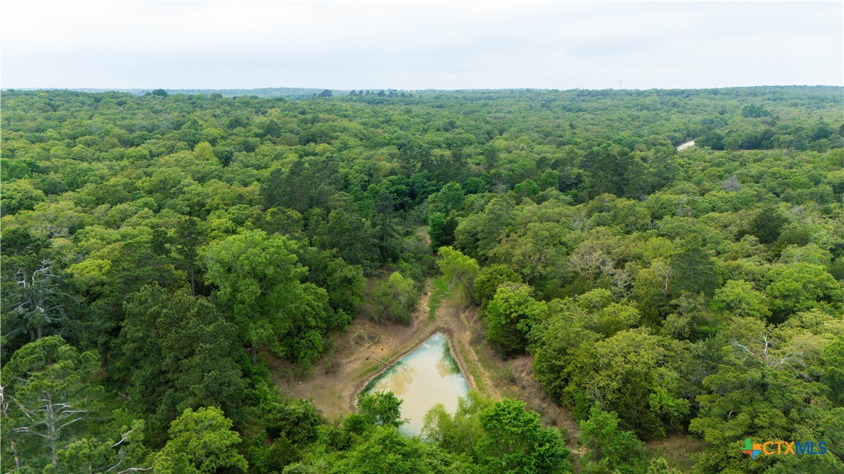 Cameron, Texas 75620, United States, ,Land,Active,138321